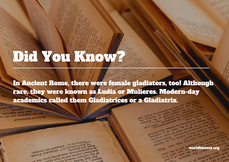 world history female gladiators infographic